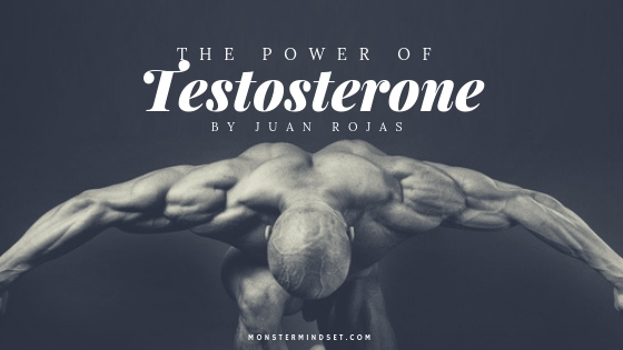 The Power of Testosterone | Alpha Male